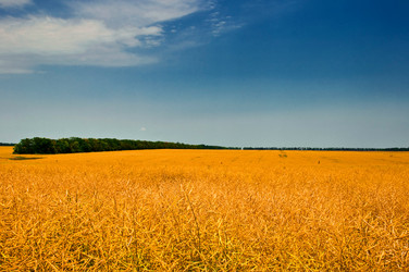 Similar image 197134