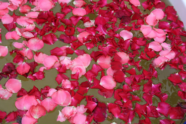 Similar image 197136