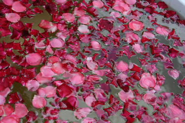 Similar image 197137