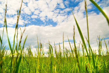 Similar image 197143