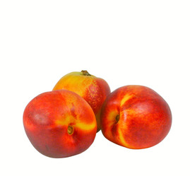 Similar image 197185