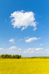 Similar image 197210