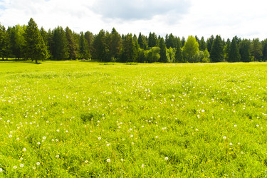 Similar image 197218