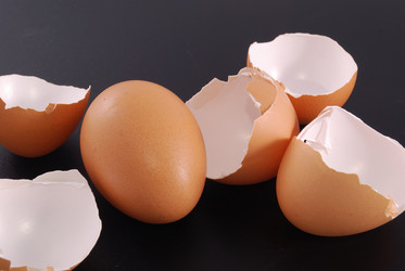 Similar image 197224