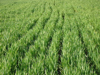 Similar image 197272