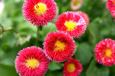 Similar image 197317