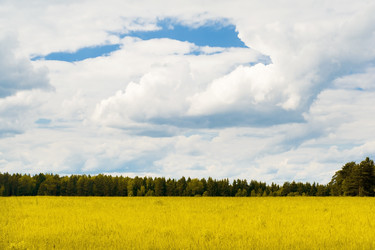 Similar image 197324