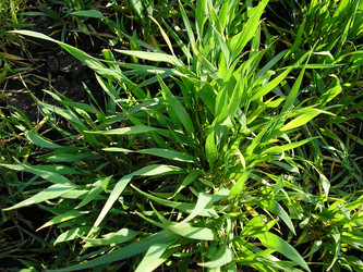 Similar image 197331