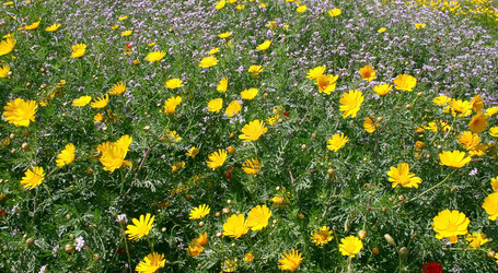 Similar image 197333