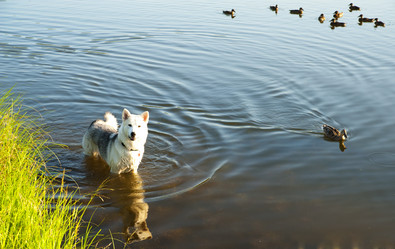 Similar image 197343