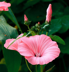 Similar image 197350