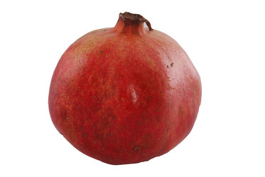 Similar image 197382