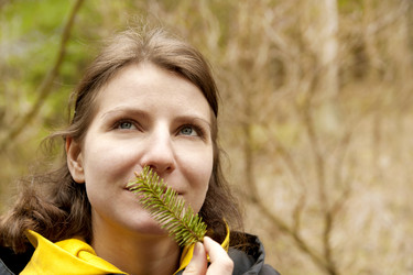 Similar image 197388