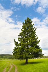 Similar image 197389