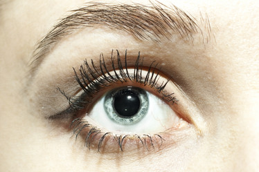 Similar image 197391