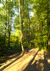 Similar image 197393