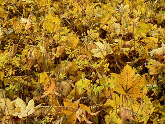 Similar image 197410