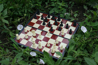 Similar image 197411