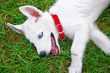 Similar image 197504