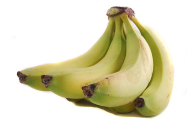 Similar image 197524