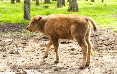 Similar image 197540