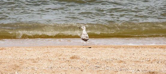 Similar image 197568