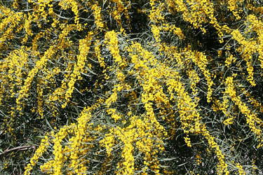 Similar image 197579