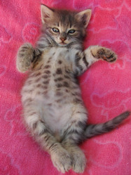 Similar image 197604