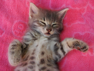 Similar image 197606