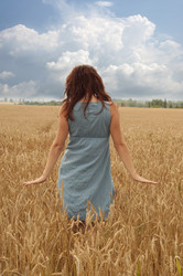 Similar image 197607