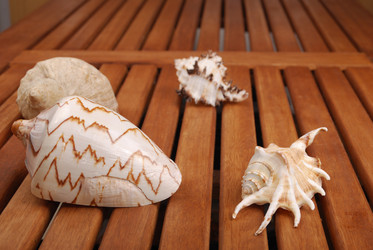 Similar image 197655