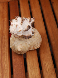 Similar image 197656