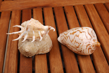 Similar image 197659