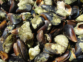 Similar image 197682