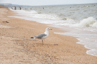 Similar image 197696