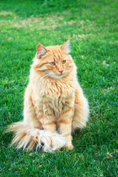 Similar image 197719