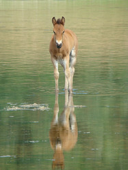 Similar image 197736