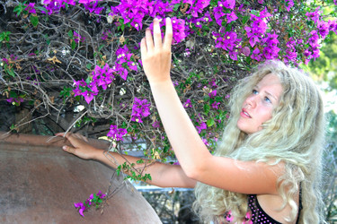 Similar image 197739