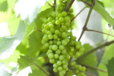 Similar image 197754