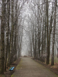 Similar image 197774