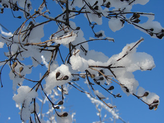 Similar image 197779