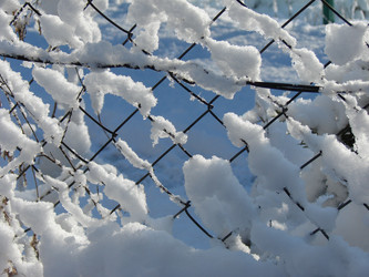 Similar image 197780