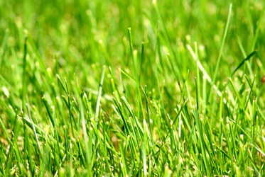 Similar image 197783