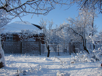 Similar image 197788