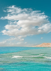 Similar image 197819