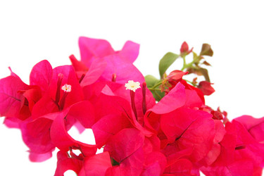 Similar image 197900