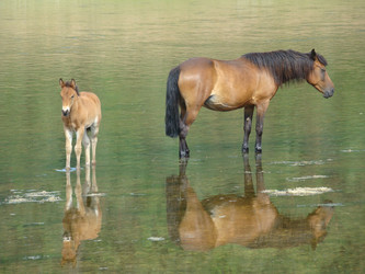 Similar image 197950