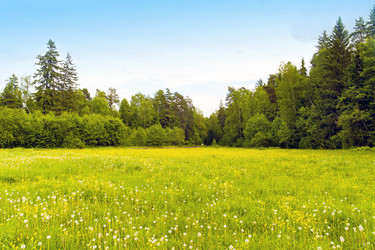 Similar image 197954