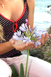 Similar image 197967