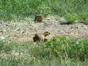 Similar image 197968